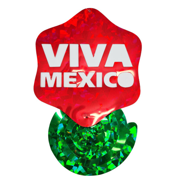 ESPIRALES METALICOS VIVA MEXICO (3) - Imagen 5