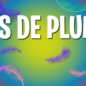 Boas de Plumas